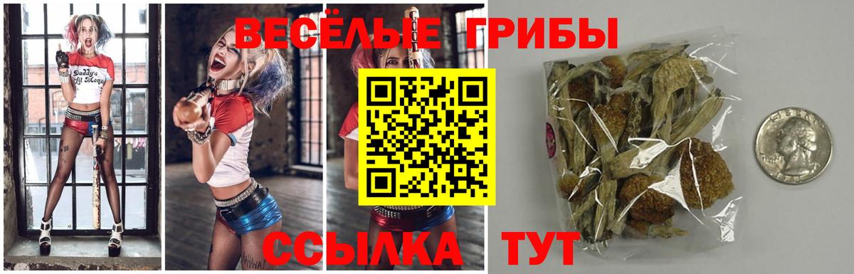 Псилоцибиновые грибы ЛСД  Вход с VPN  Мичуринск 